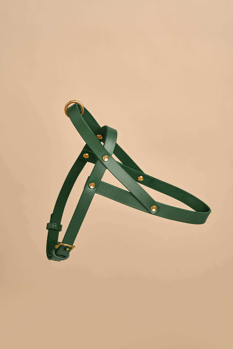 Vero Green Leather Dog Harness