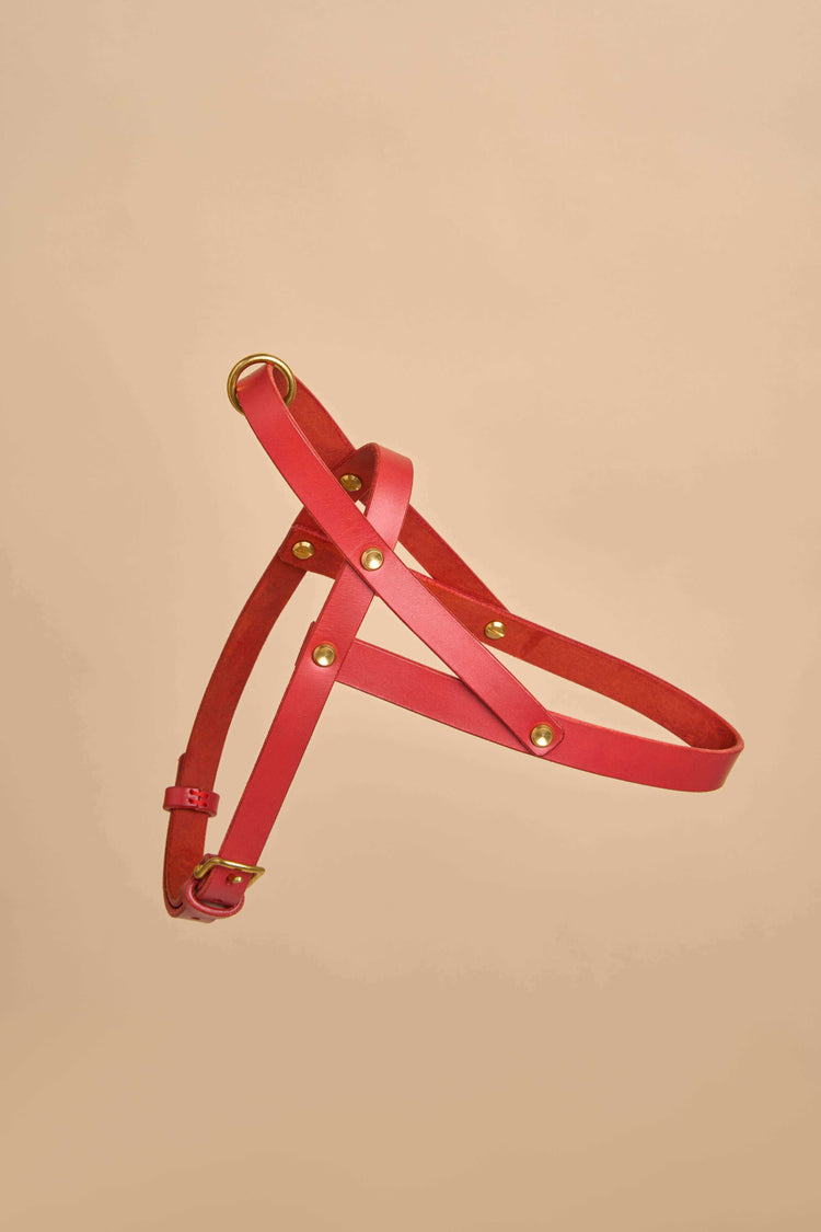 Vero Red Leather Dog Harness