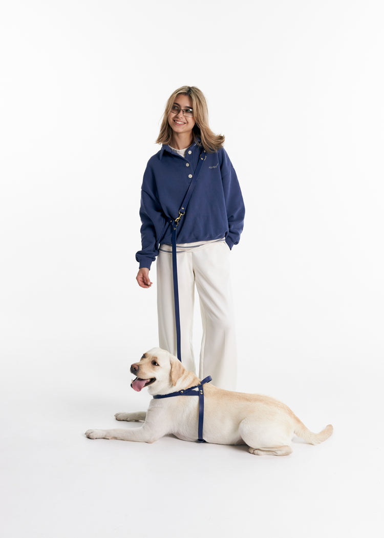 Blue Leather Dog Collar, Hands-Free Leash and Harness Set - Aeris Classic