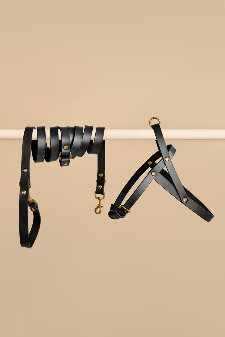 Black Leather Dog Harness and Hands-Free Leash Set - Vero