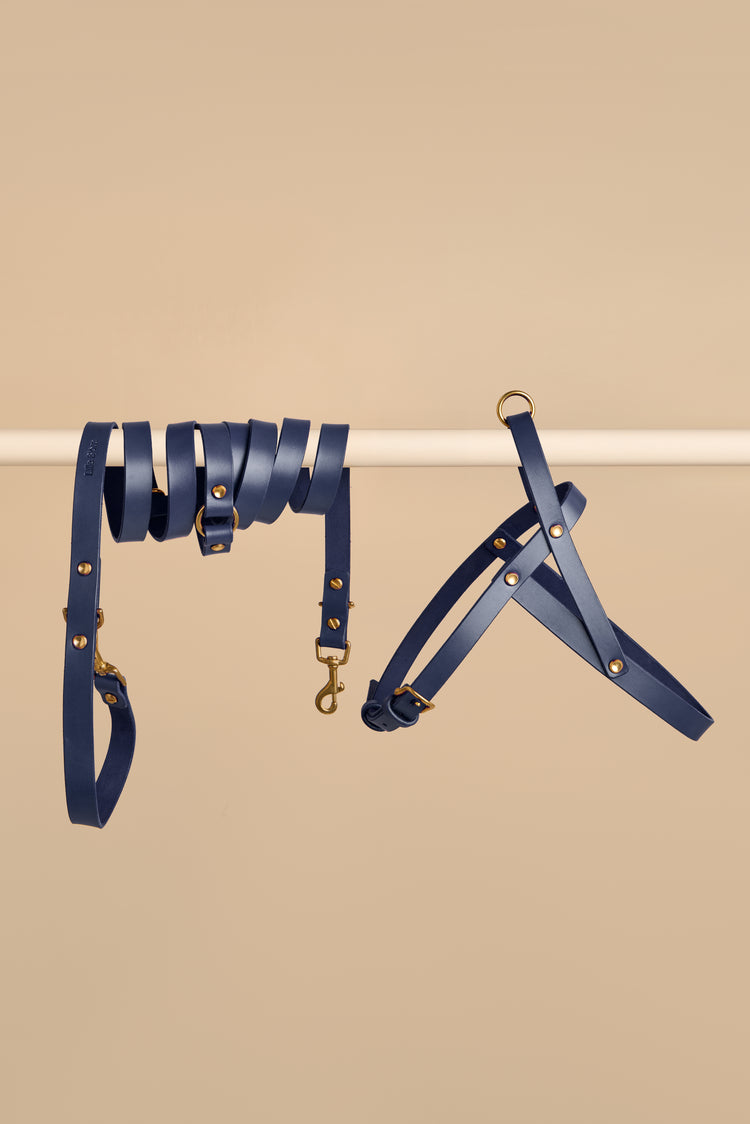 Blue Leather Dog Harness and Hands-Free Leash Set - Vero
