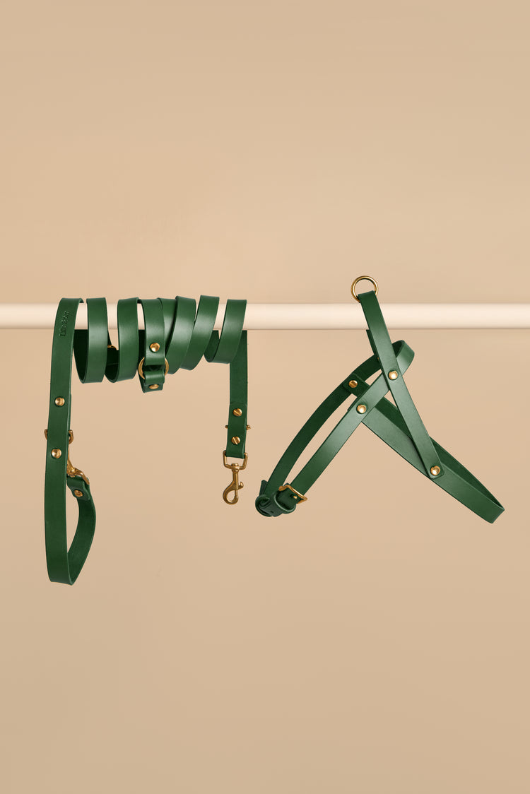 Green Leather Dog Harness and Hands-Free Leash Set - Vero
