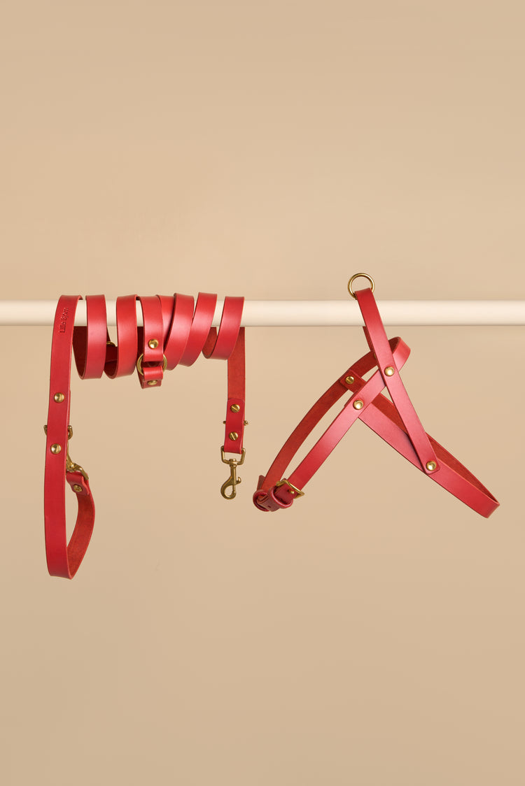 Red Leather Dog Harness and Hands-Free Leash Set - Vero