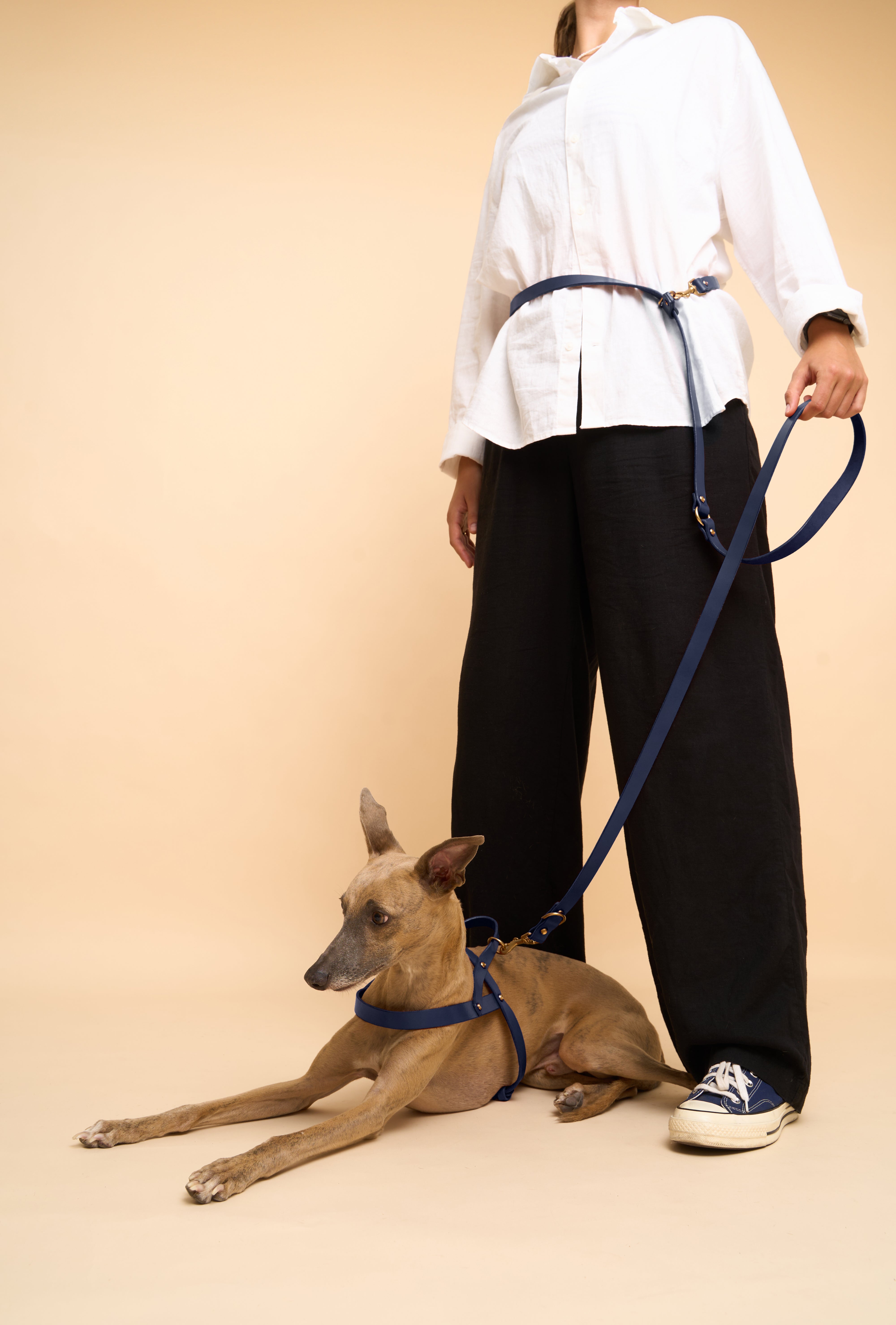 Vero Blue Leather Dog Harness and Omni Hands-Free Blue Leash, made from premium Italian leather for secure, hands-free walking