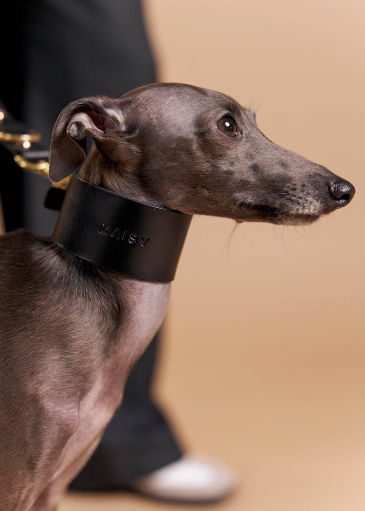 Wide Black Leather Dog Collar - Vero
