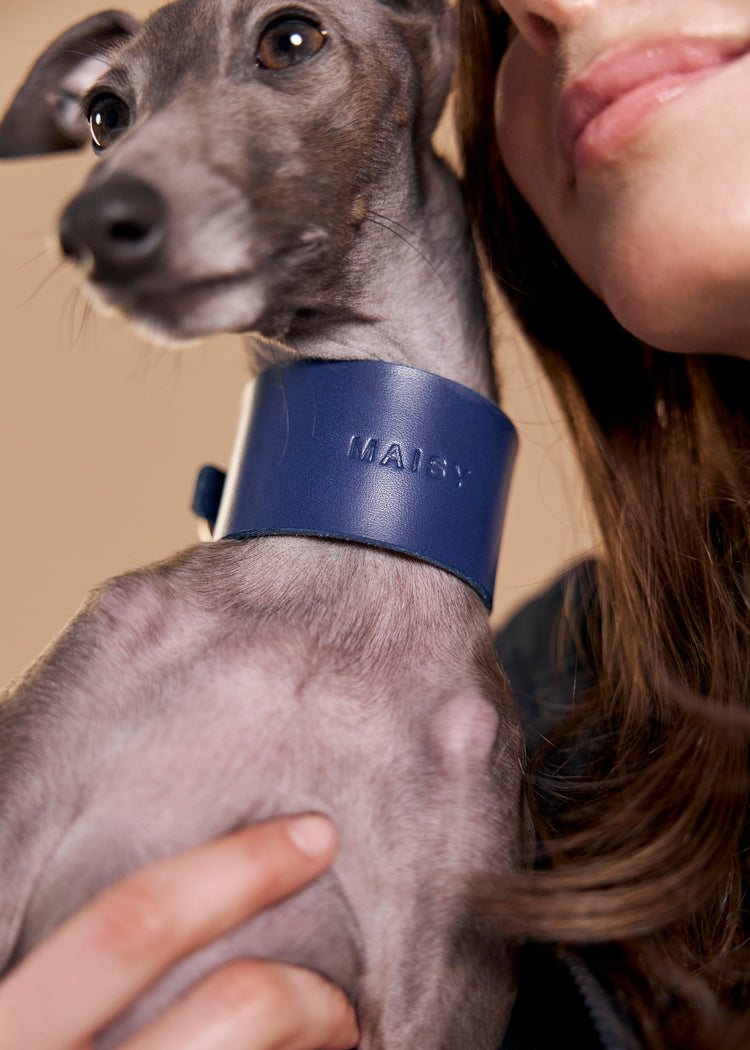 Wide Blue Leather Dog Collar - Vero