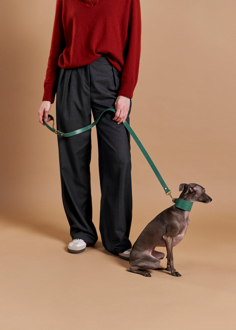 Wide Green Leather Dog Collar, Leash and Harness Set - Vero