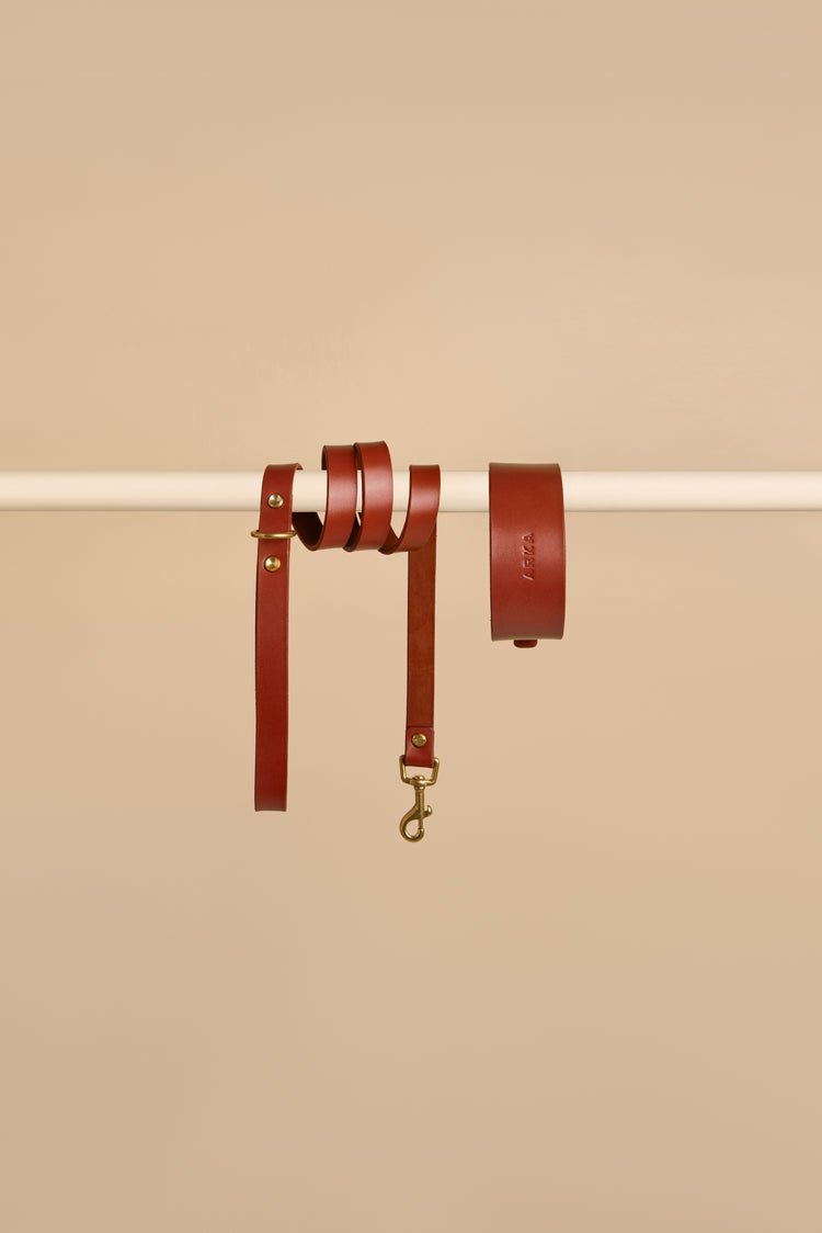Wide Brown Leather Dog Collar and Leash Set - Vero