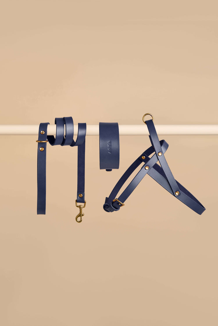 Wide Blue Leather Dog Collar, Leash and Harness Set - Vero