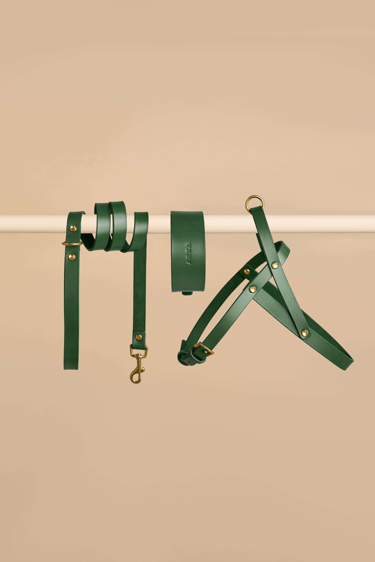 Wide Green Leather Dog Collar, Leash and Harness Set - Vero