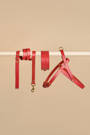 Vero Wide red leather collar, Classic leash, and Vero harness - premium italian leather dog set for bold and stylish looks