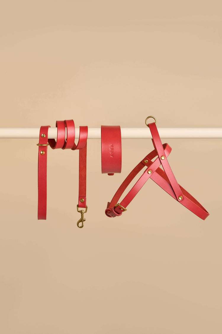 Wide Red Leather Dog Collar, Leash and Harness Set - Vero