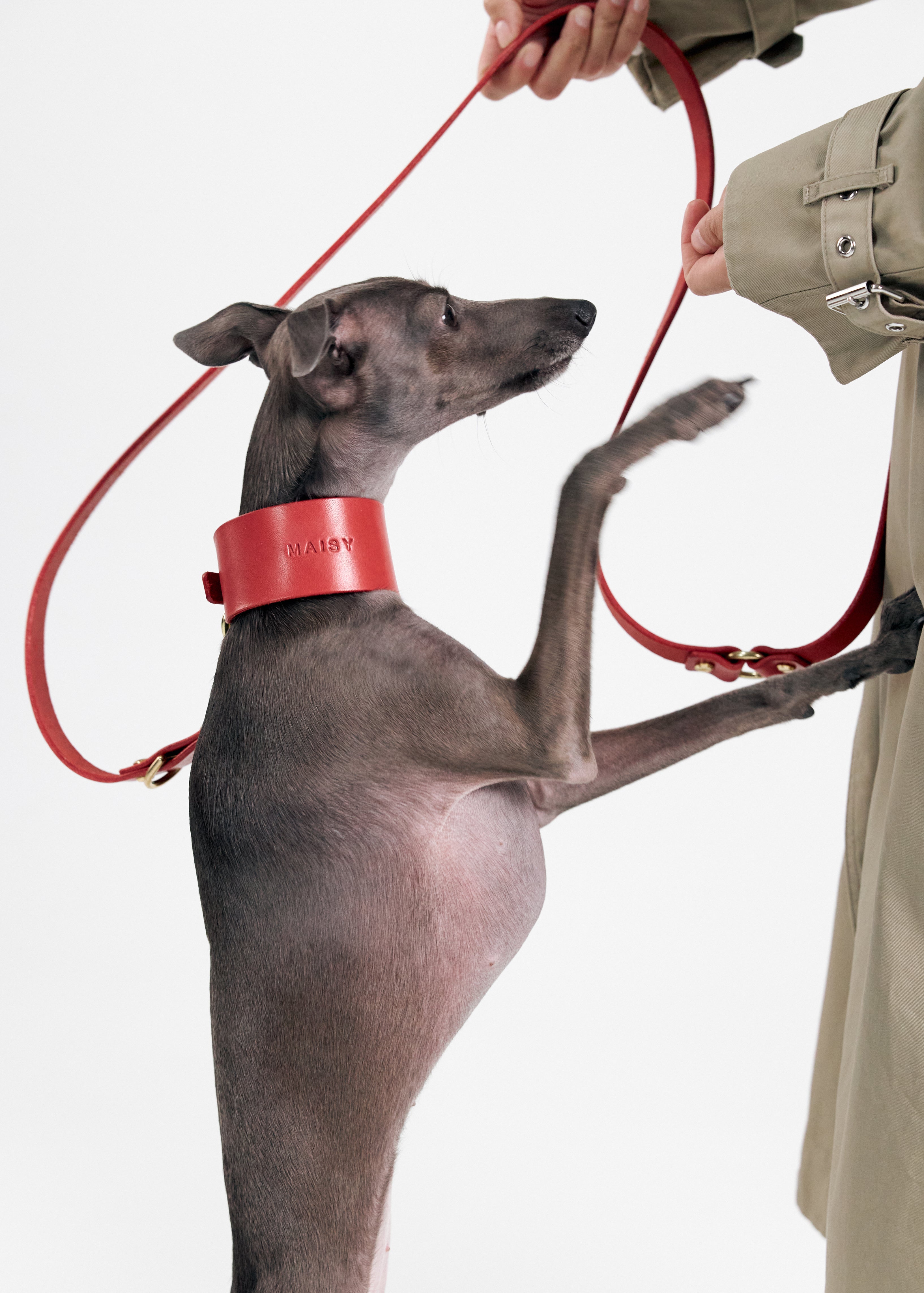 View of Vero Wide Red Leather Dog Collar with custom name embossing, made with durable Italian leather for a personalized fit