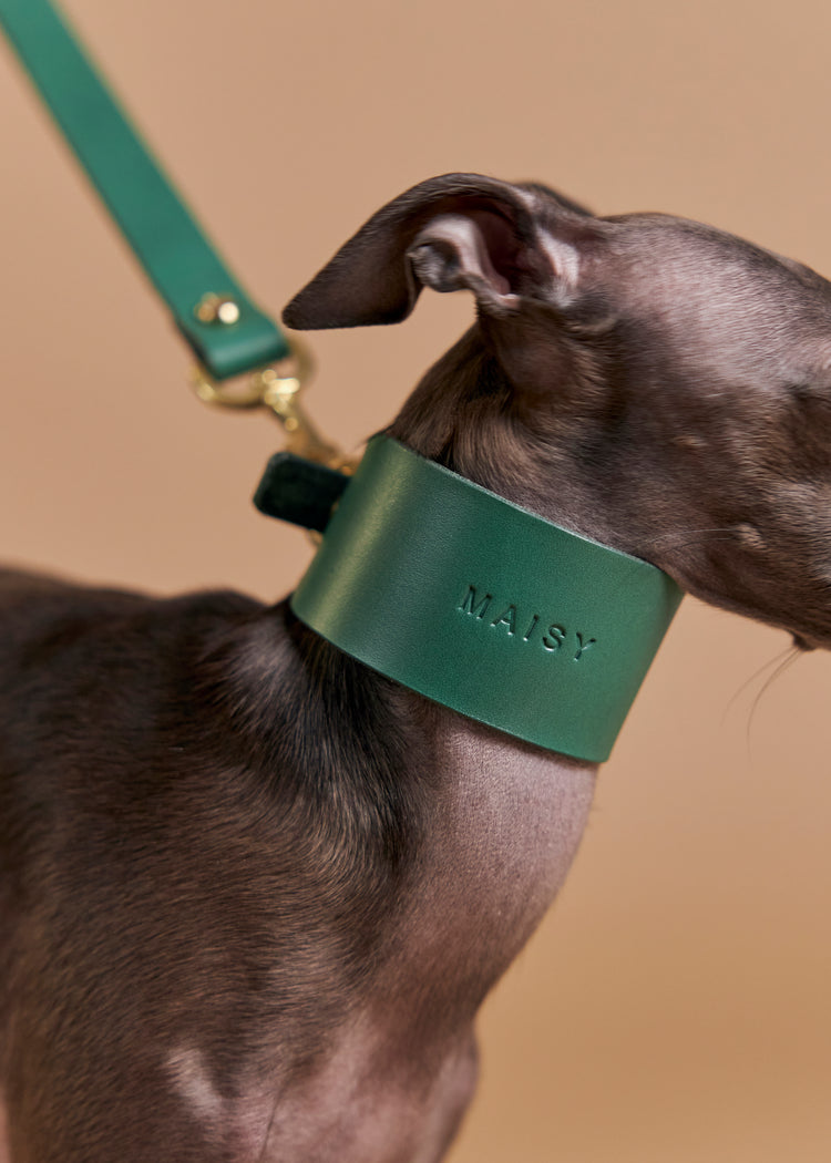 Wide Green Leather Dog Collar - Vero