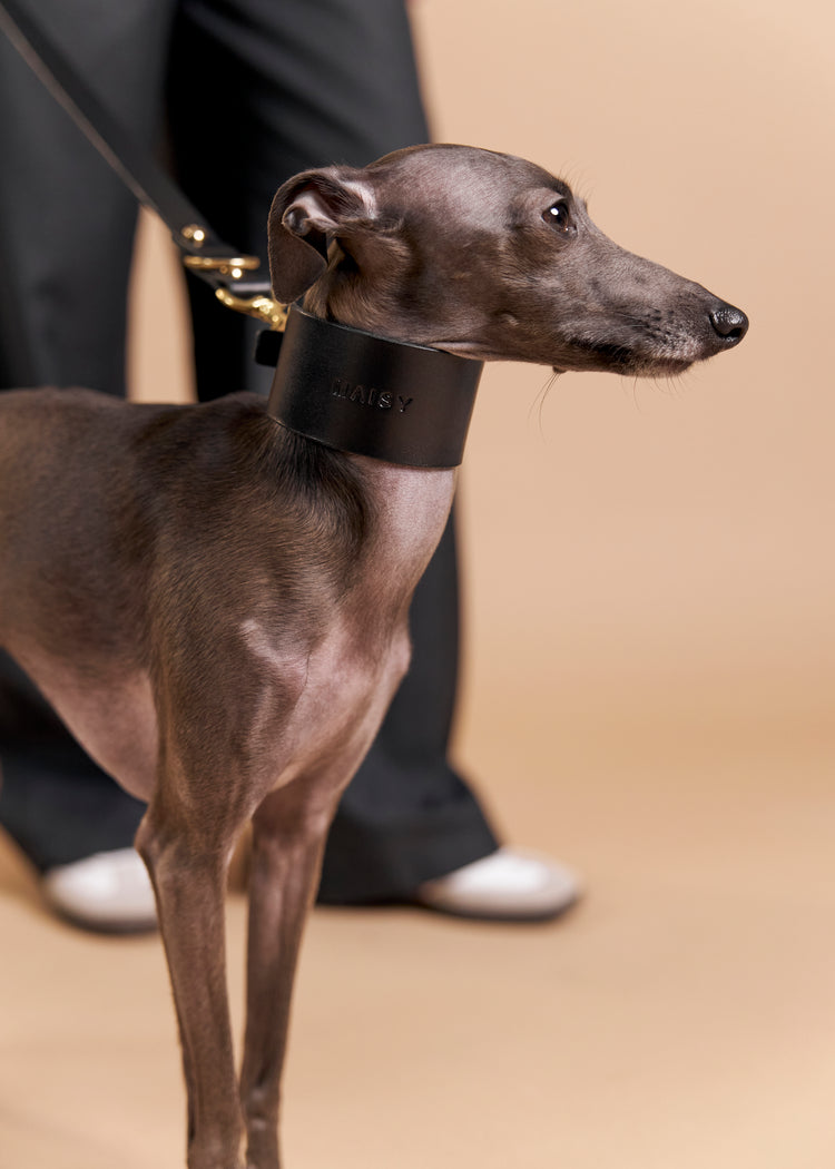Wide Black Leather Dog Collar, Leash and Harness Set - Vero