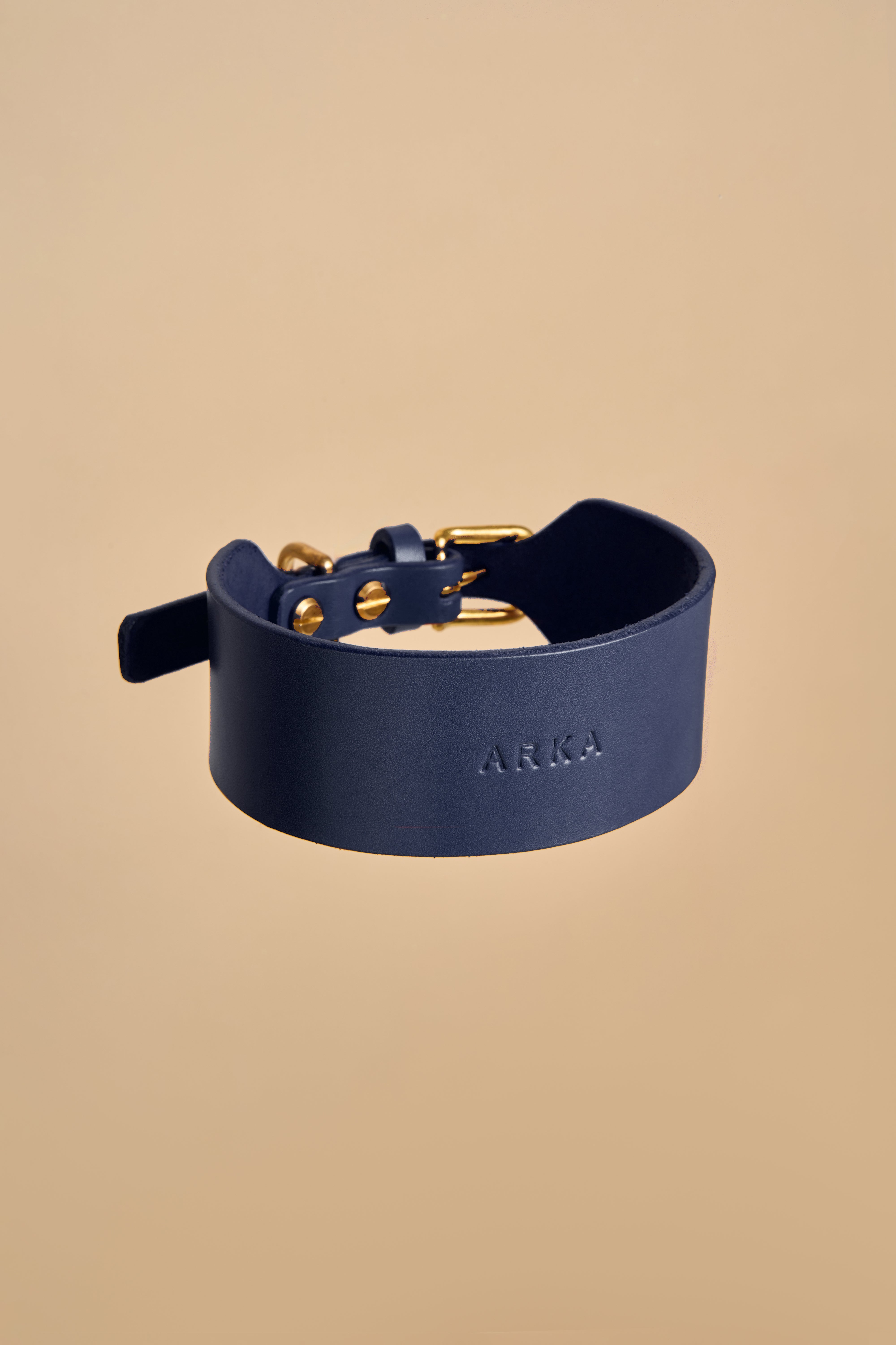 Vero Wide Dog Collar in Blue