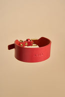 Vero Wide Red Leather Dog Collar designed with luxurious Italian leather and wide strap, complemented by rust-resistant brass hardware.