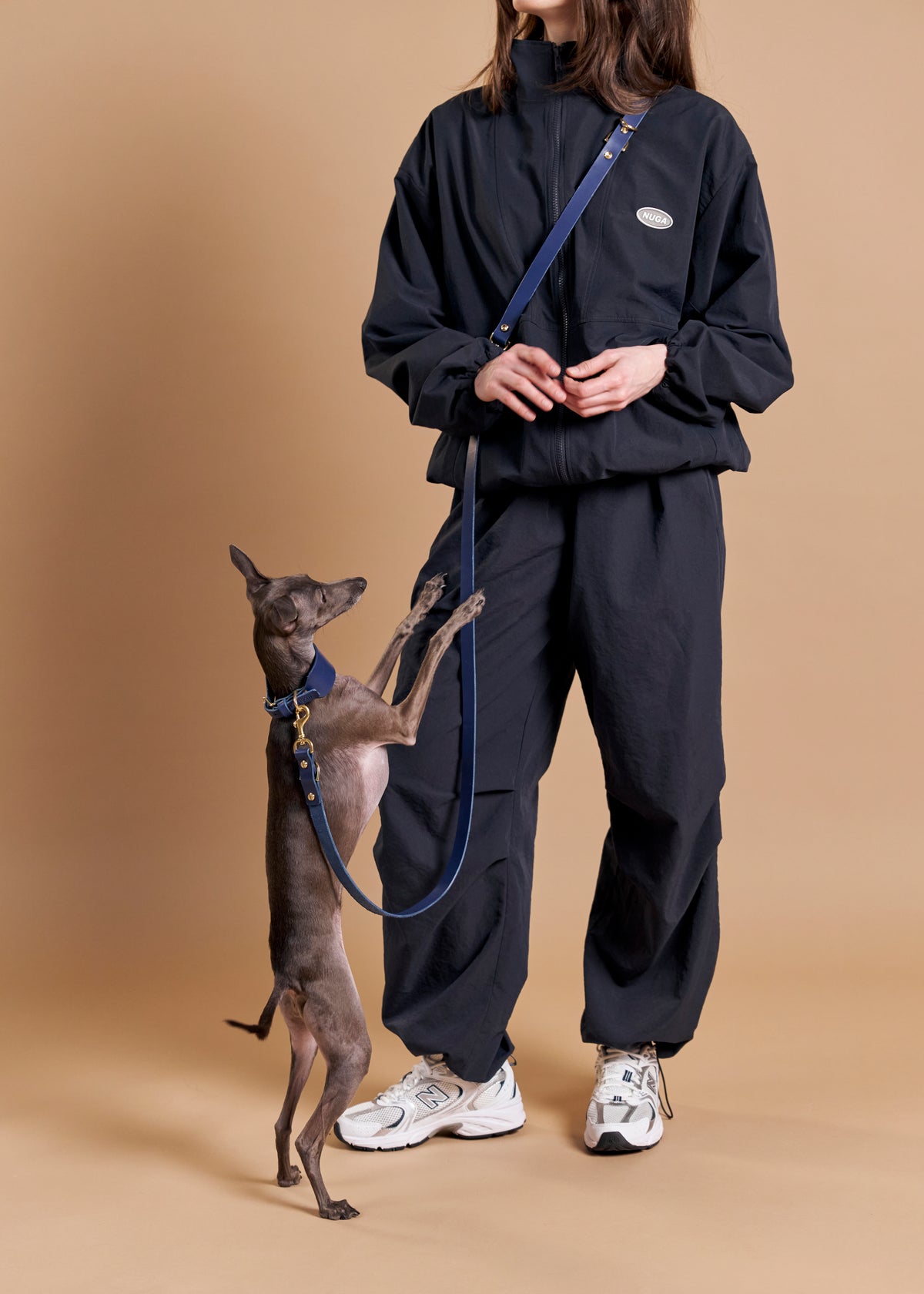 Vero Wide Dog Collar paired with Omni Hands-Free Leash in blue