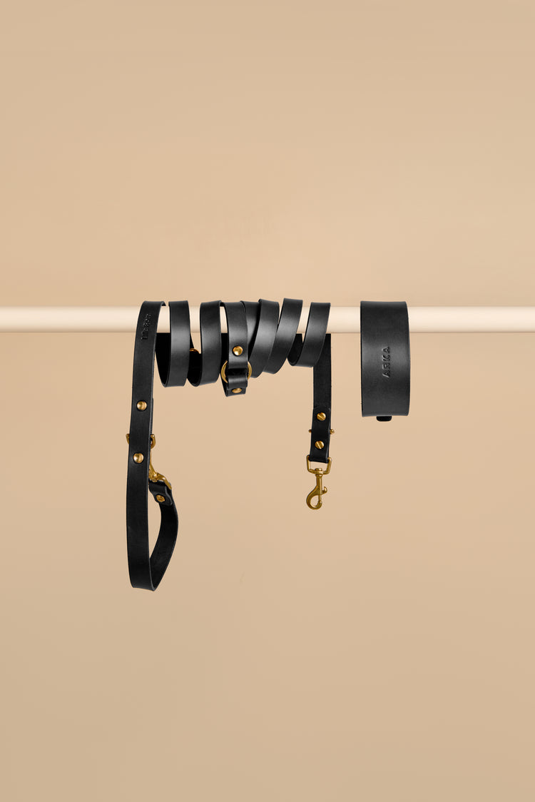 Wide Black Leather Dog Collar and Hands-Free Leash Set - Vero