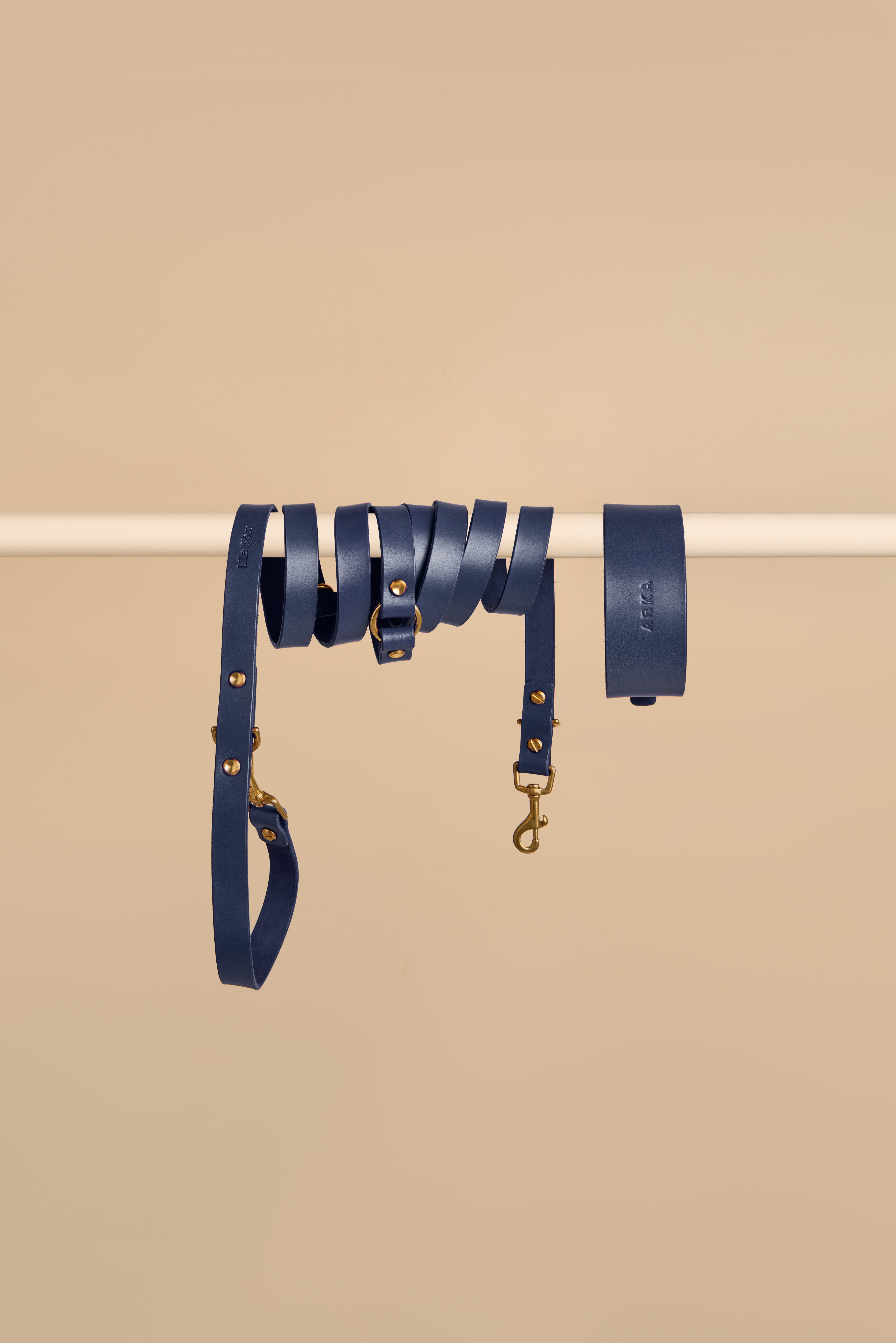 Vero Wide Collar & Omni Leash in Blue