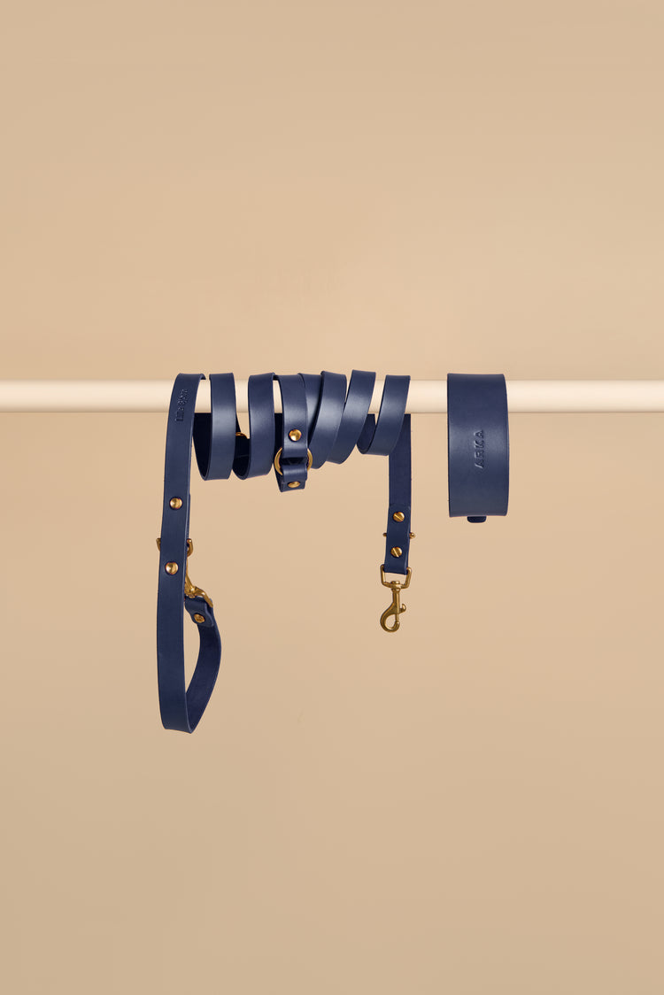 Wide Blue Leather Dog Collar and Hands-Free Leash Set - Vero