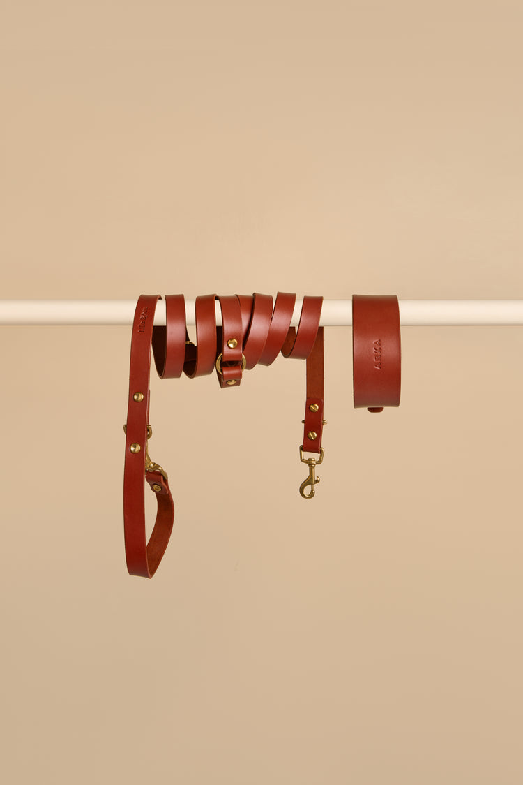 Wide Brown Leather Dog Collar and Hands-Free Leash Set - Vero