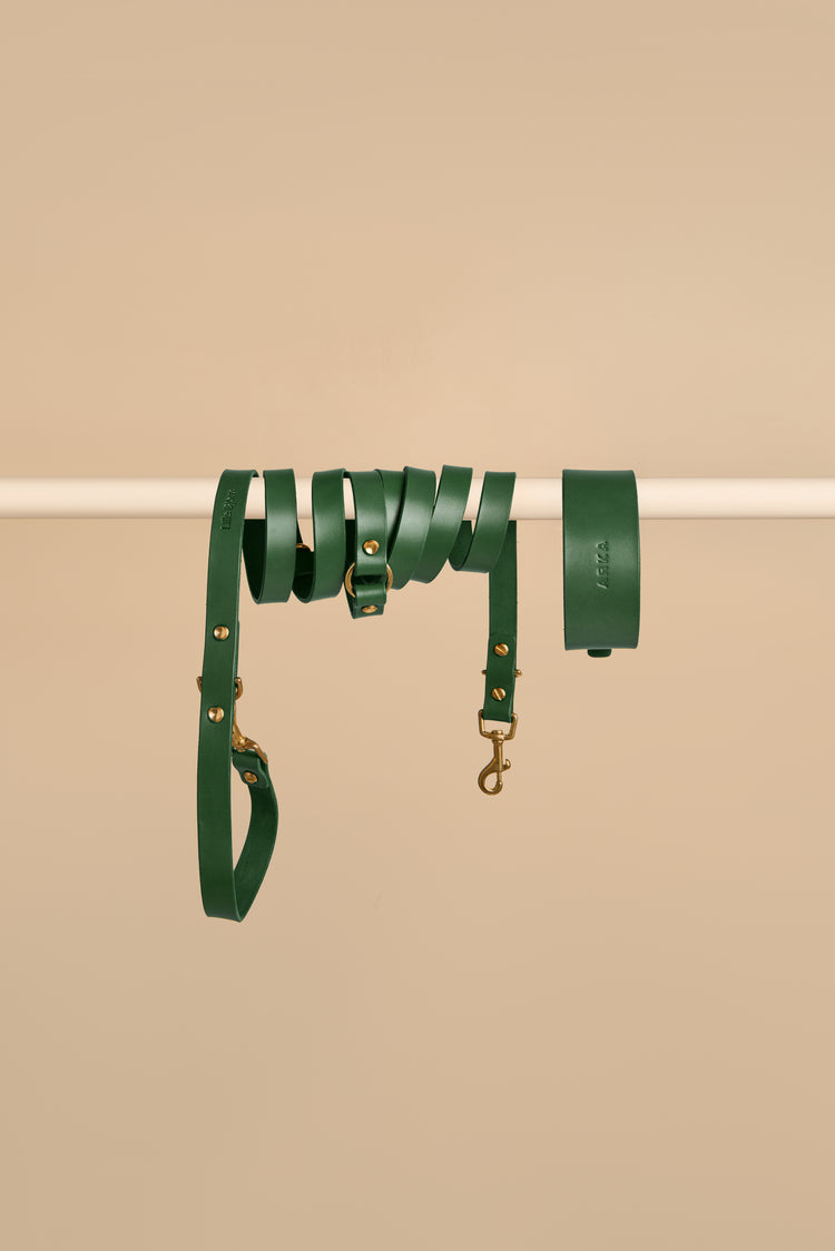 Wide Green Leather Dog Collar and Hands-Free Leash Set - Vero