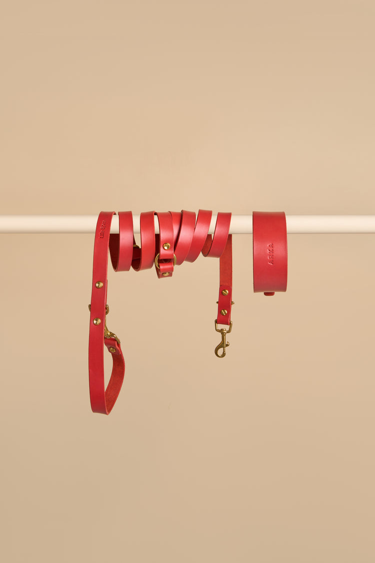Wide Red Leather Dog Collar and Hands-Free Leash Set - Vero