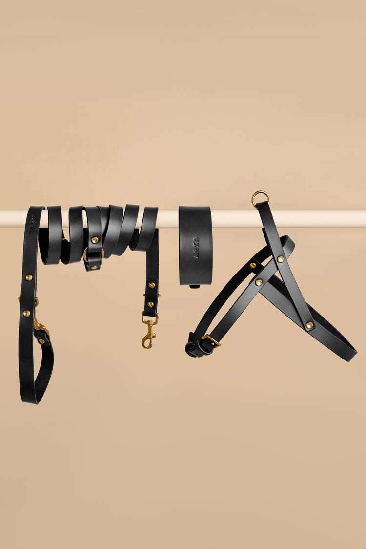 Wide Black Leather Dog Collar, Hands-Free Leash and Harness Set - Vero