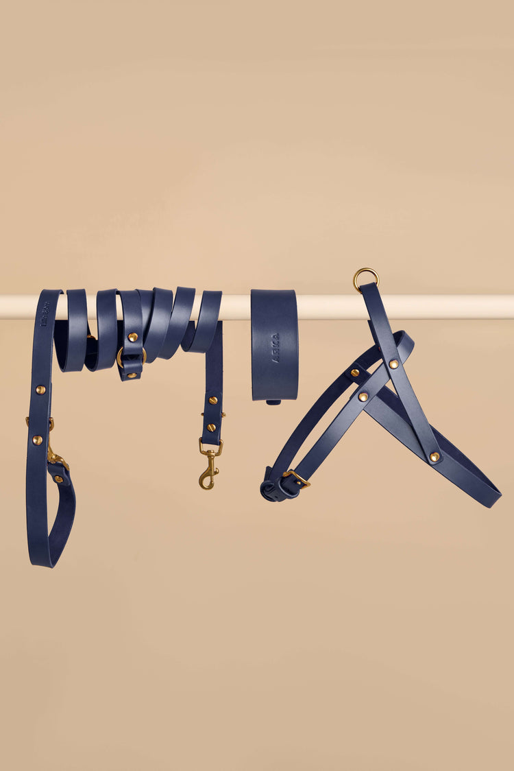 Wide Blue Leather Dog Collar, Hands-Free Leash and Harness Set - Vero