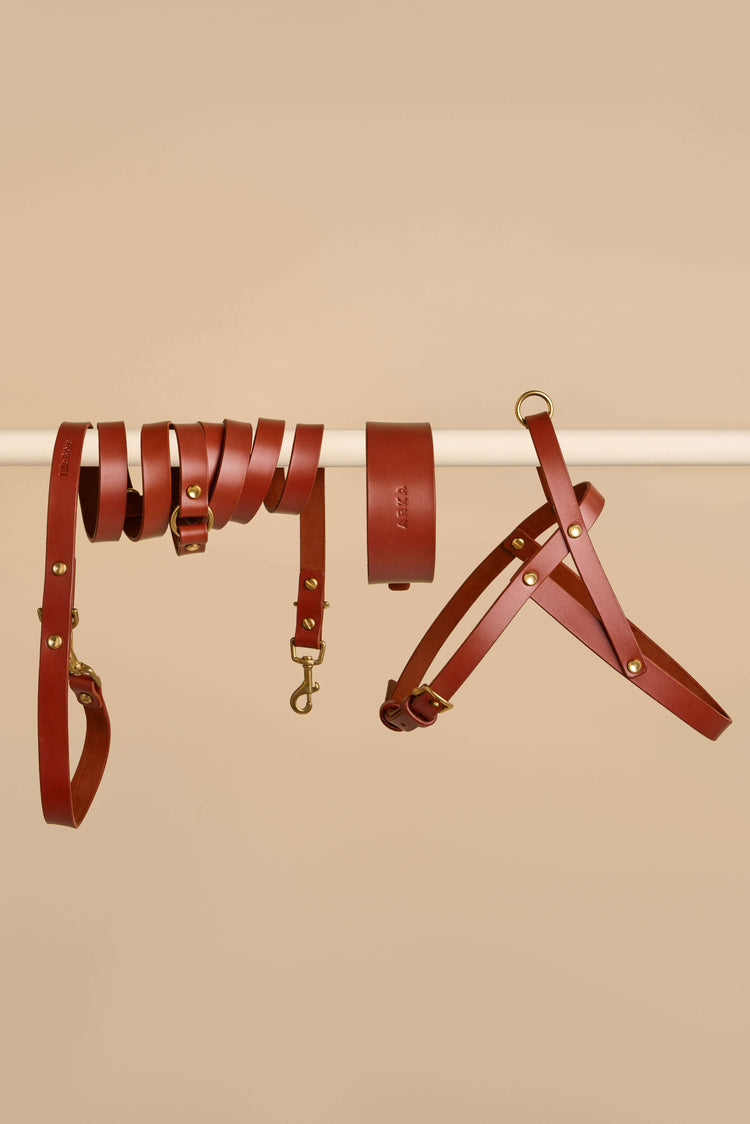 Wide Brown Leather Dog Collar, Hands-Free Leash and Harness Set - Vero