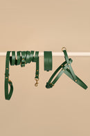 Vero Wide green leather collar with Omni leash and Vero harness - premium italian leather dog set for comfort and style