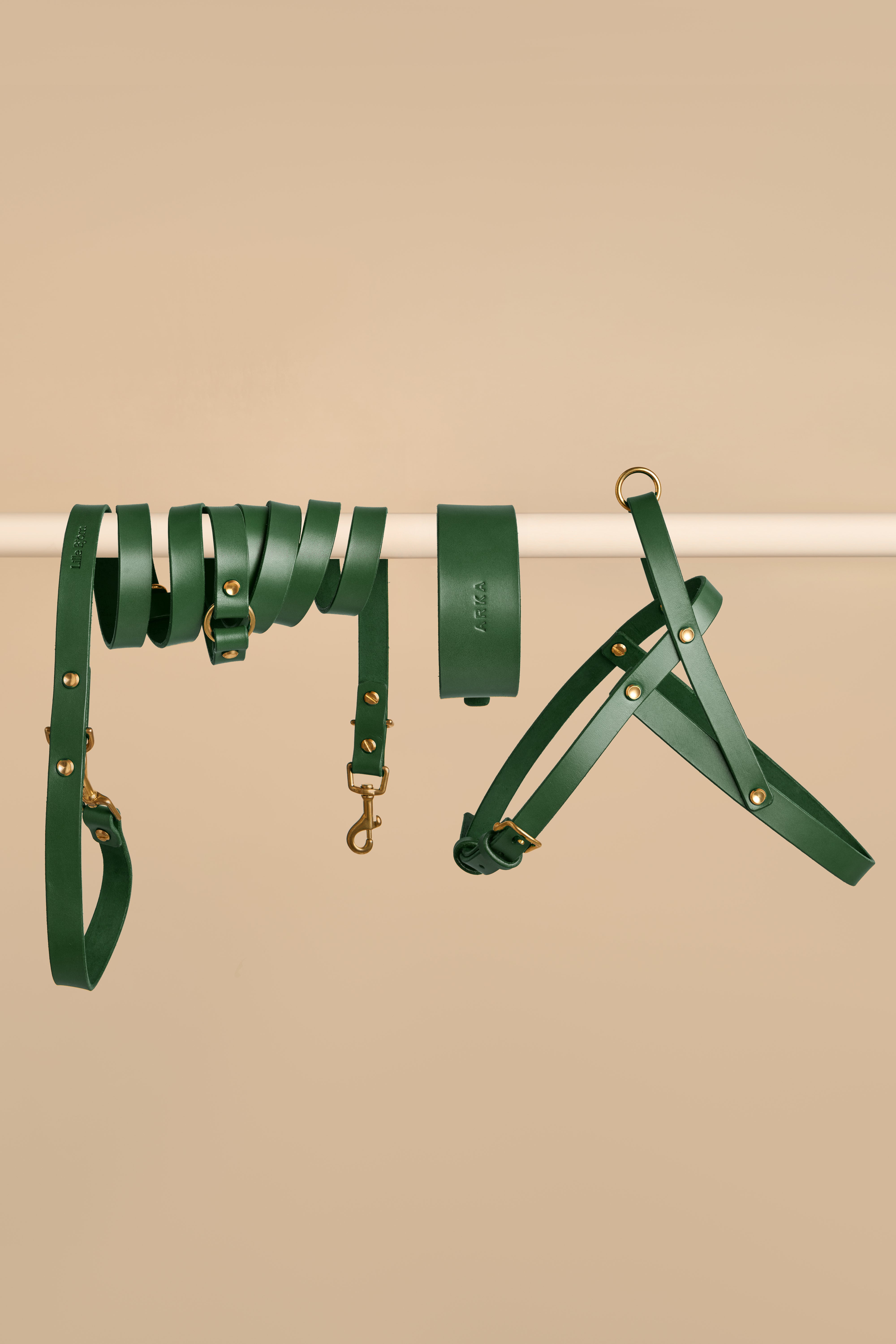 Vero Wide Collar & Omni Leash & Vero Harness in Green