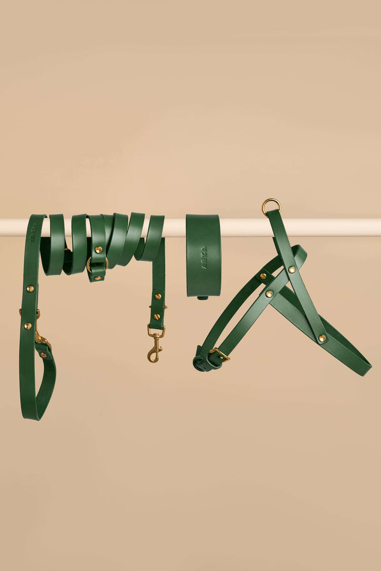 Wide Green Leather Dog Collar, Hands-Free Leash and Harness Set - Vero