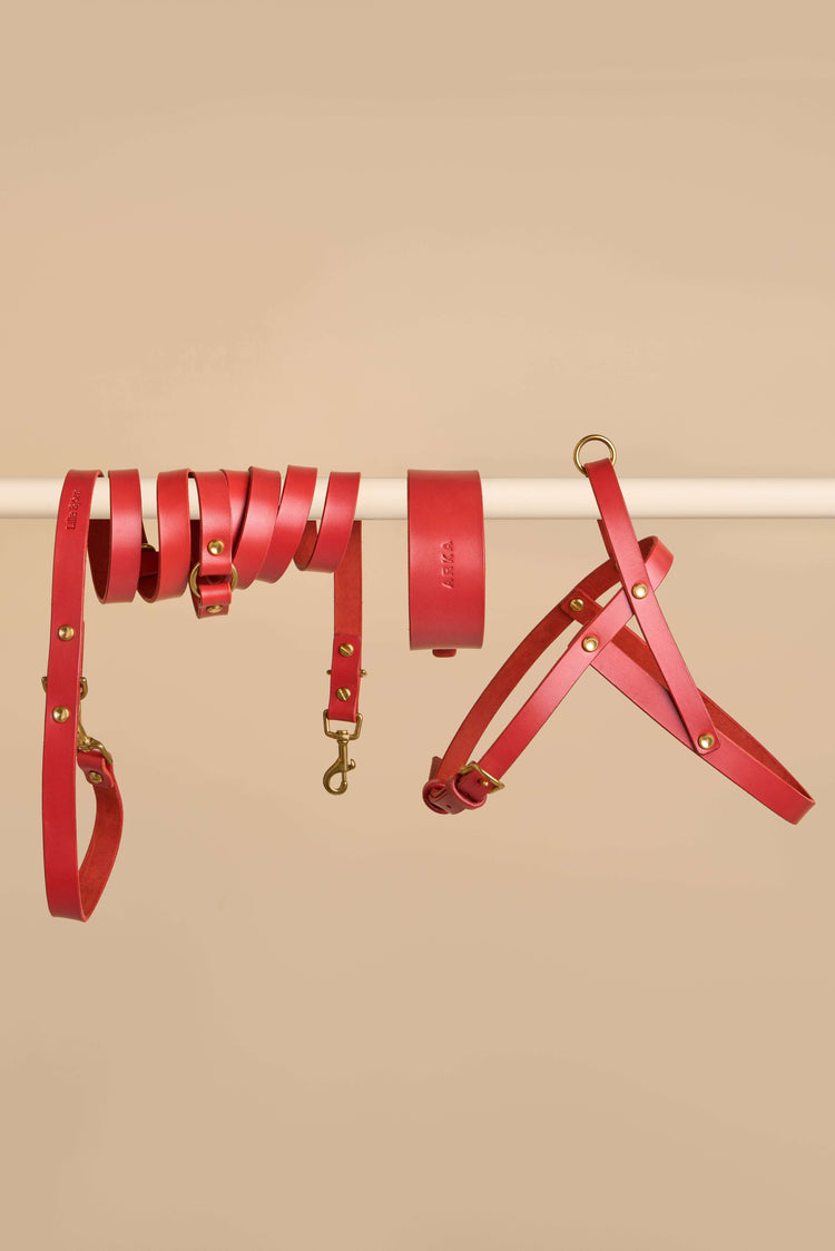 Wide Red Leather Dog Collar, Hands-Free Leash and Harness Set - Vero