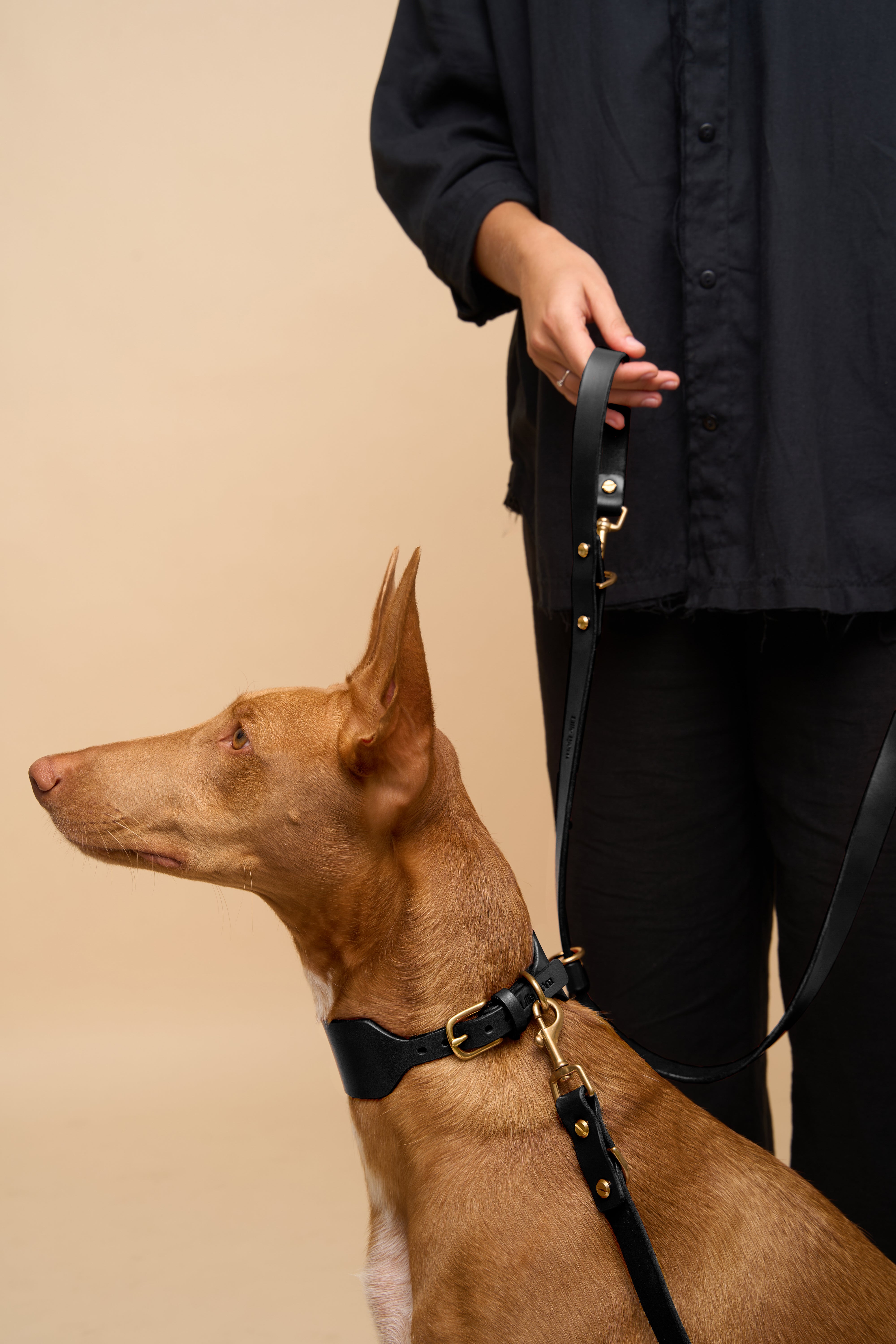 Vero Wide Black Leather Dog Collar with matching Omni Black Leather Dog Leash, made from premium Italian leather, perfect for stylish and secure walks