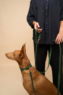 Vero Wide Green Dog Collar with Omni Hands Free Leash, crafted from high-quality Italian leather, offering a secure and fashionable dog walking experience