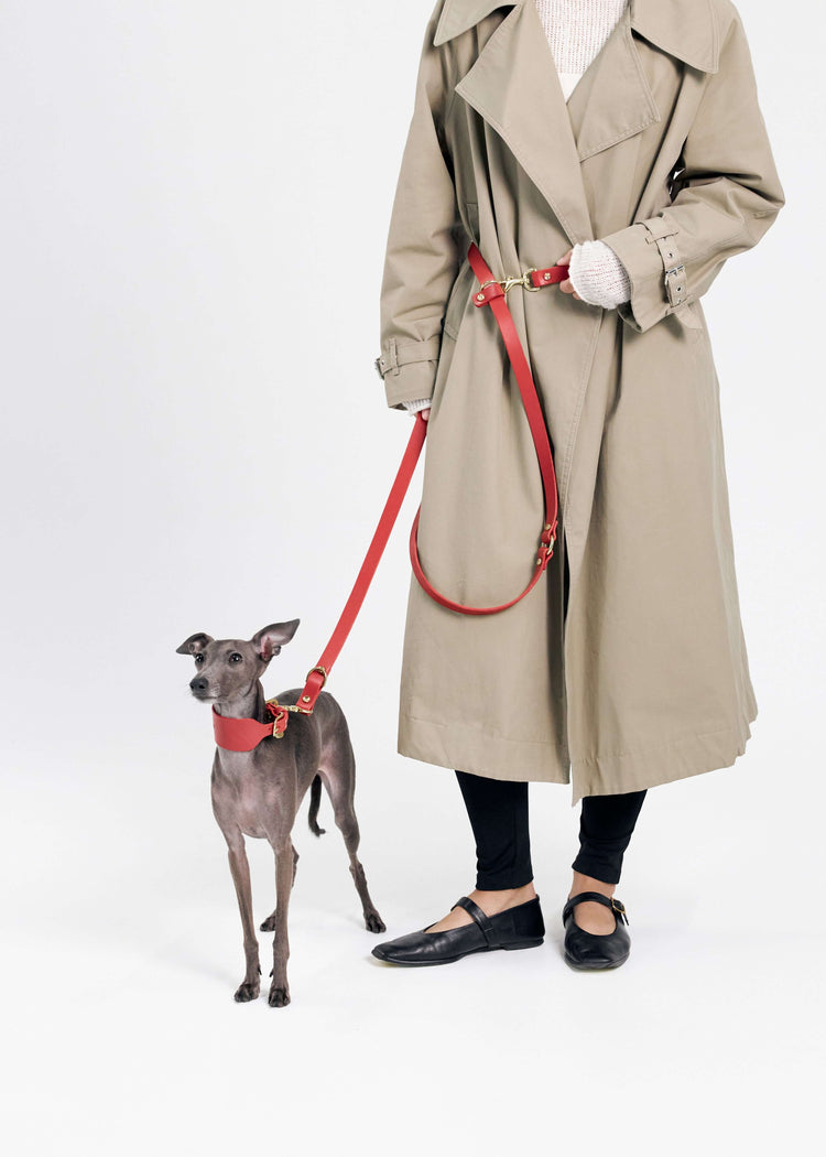 Wide Red Leather Dog Collar and Hands-Free Leash Set - Vero