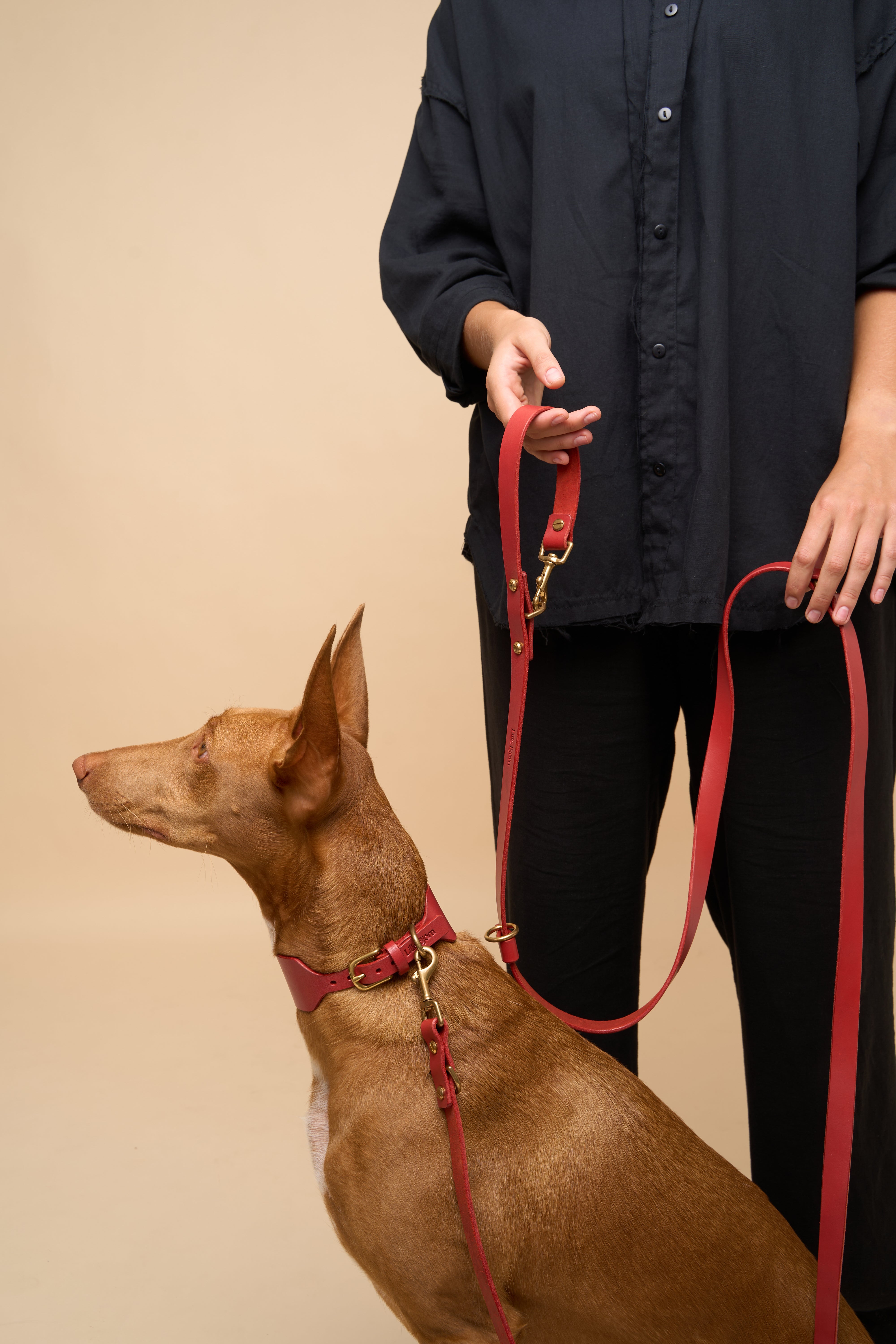 Vero Wide Red Dog Collar with Omni Hands Free Leash, crafted for secure walks and stylish comfort using high-quality Italian leather