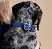 Aeris Classic Collar & Leash in Blue