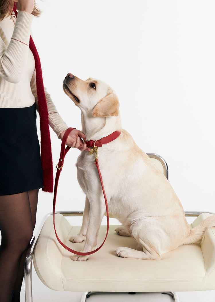 Red Leather Dog Collar and Leash Set - Vero Classic